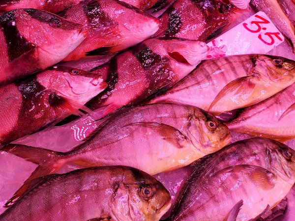 Quali sono i segreti per una comunicazione non violenta nelle relazioni?